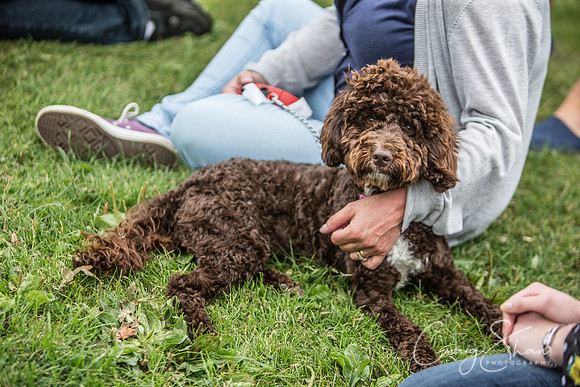 474_BarkintheParkHuddersfield_2014_bluplanetphoto