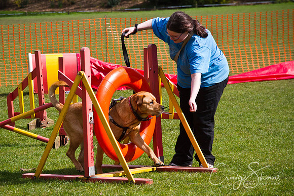 Hebden Happy Hounds RSPCA day
