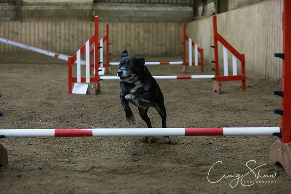 2875_springfling2015_bluplanetphoto