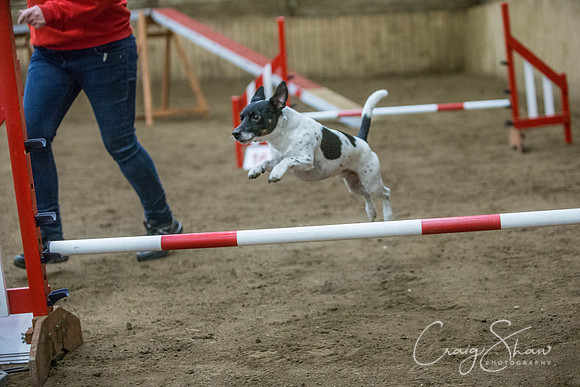 1633_springfling2015_bluplanetphoto
