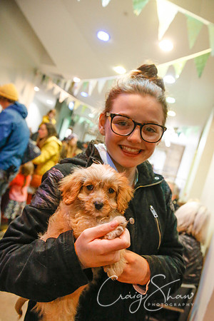 1384_HebdenBridgeXmaslights2016_HRTC_craigshaw
