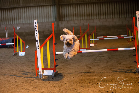 62_springfling2015_bluplanetphoto