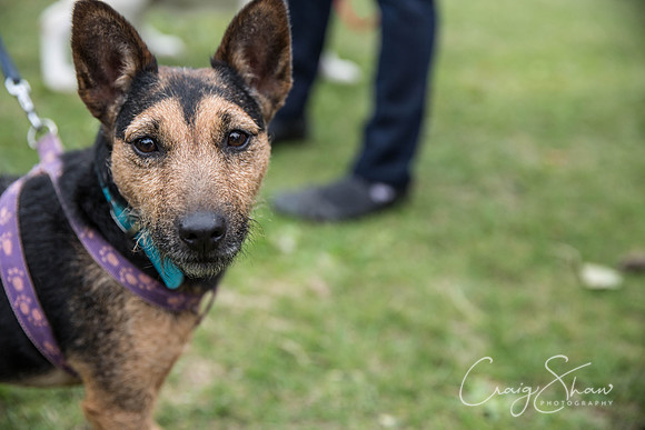 613_BarkintheParkHuddersfield_2014_bluplanetphoto