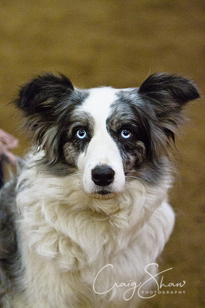 spring fling 2012-1153