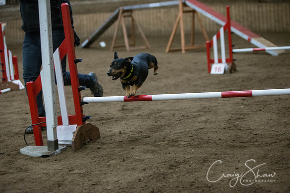 1554_springfling2015_bluplanetphoto