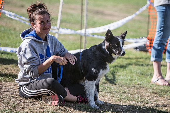 2619_K9Partyinthepark2014_RSPCAHalifax_bluplanetphoto