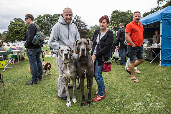 638_BarkintheParkHuddersfield_2014_bluplanetphoto