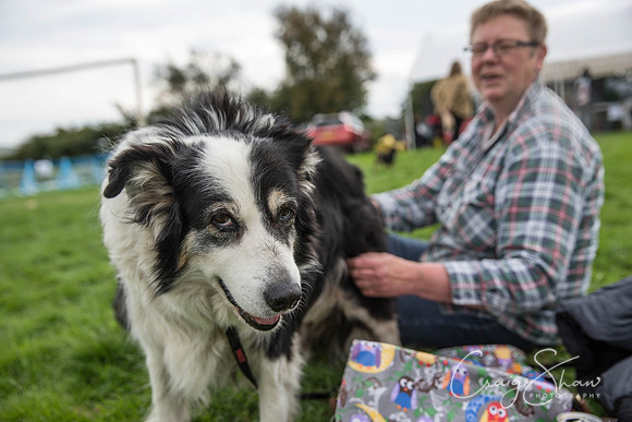 694_Woofstock2016_craigshaw