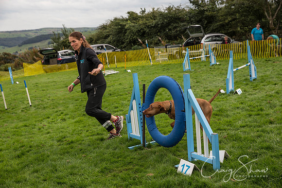 1637_Woofstock2016_craigshaw