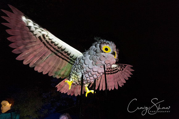 1432_liverpoollanternparade2013_bluplanetphoto-Edit
