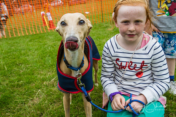 RSPCA Dog Day Afternoon