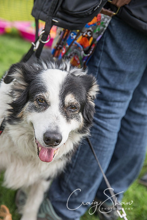 1285_Woofstock2016_craigshaw