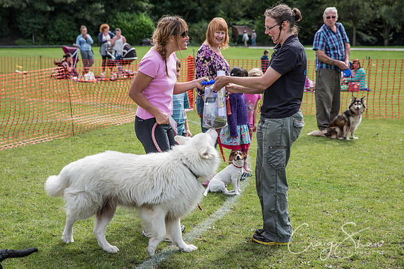 211_HebdenHappyHounds_2014_bluplanetphoto