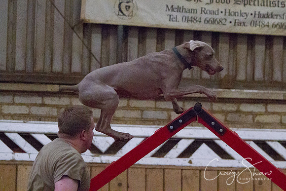 spring fling 2012-2366