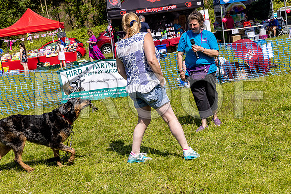 2371__PAWSFundogShow_July2022_cshaw
