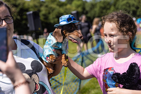 1705__PAWSFundogShow_July2022_cshaw