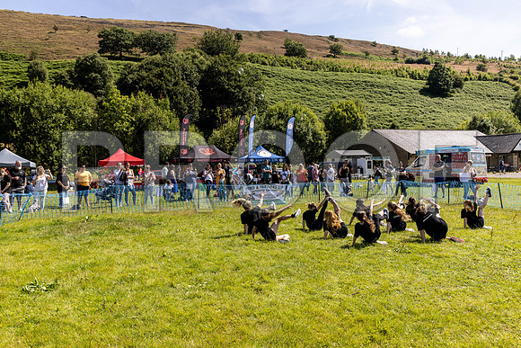 421__PAWSFundogShow_July2022_cshaw