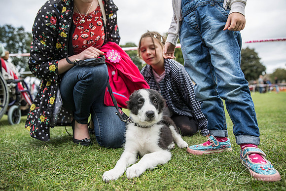 228_BarkintheParkHuddersfield_2014_bluplanetphoto