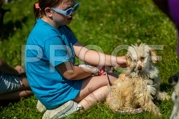 1804__PAWSFundogShow_July2022_cshaw