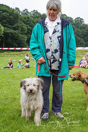 RSPCA Dog Day Afternoon