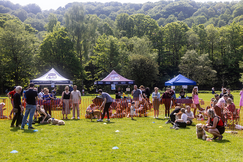 2265_HebdensHappyHounds2024_Cshaw-