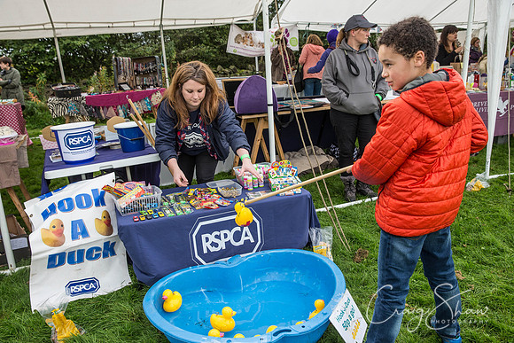 505_Woofstock2016_craigshaw