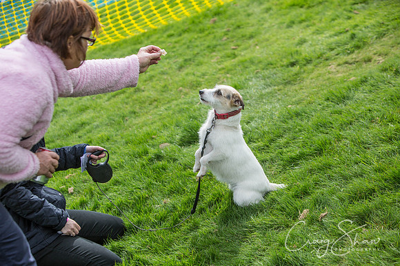 195_Woofstock2016_craigshaw