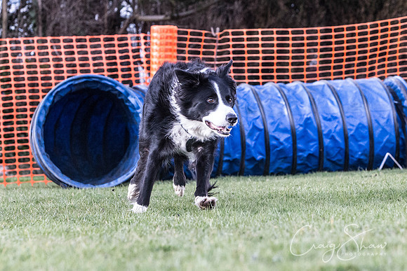 2299__SpringersFunDay_March2014_bluplanetphoto