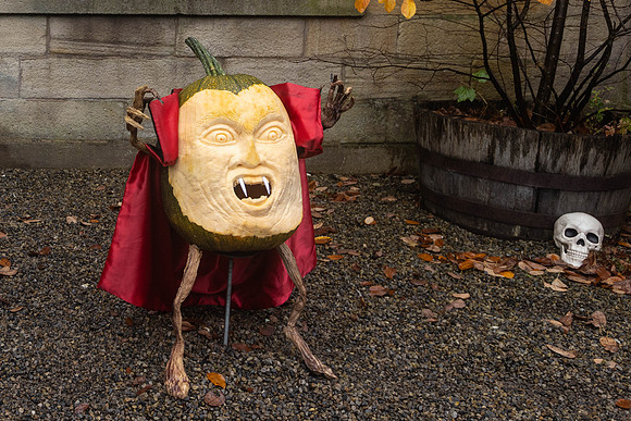 128_HebdenPumpkinTrail2024_Cshaw-