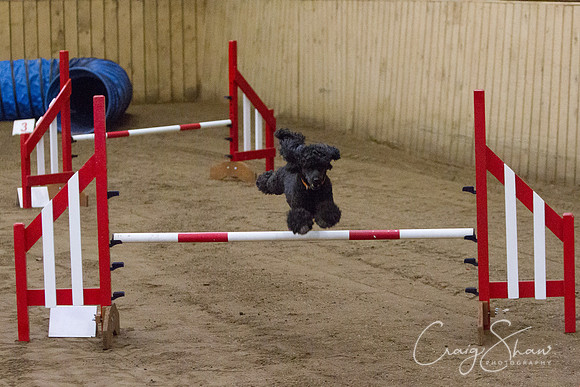 spring fling 2012-825