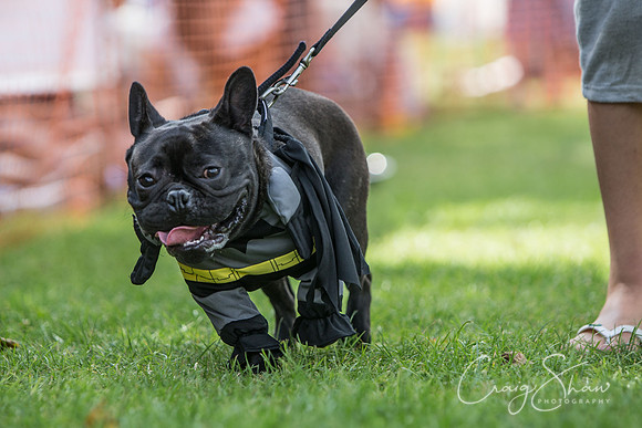 1665_K9Partyinthepark2014_RSPCAHalifax_bluplanetphoto