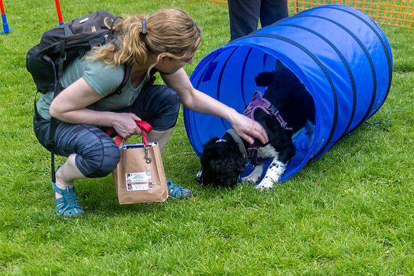 2347_HebdensHappyHounds2024_Cshaw-