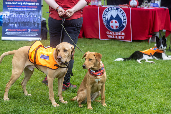 2359_HebdensHappyHounds2024_Cshaw-