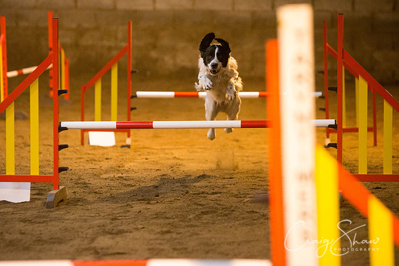 88_springfling2015_bluplanetphoto