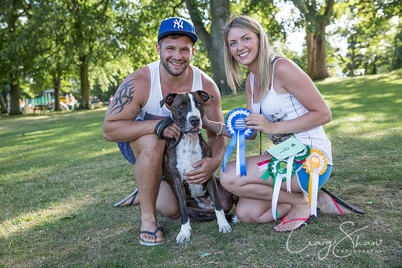 2668_K9Partyinthepark2014_RSPCAHalifax_bluplanetphoto