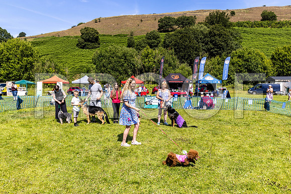 2401__PAWSFundogShow_July2022_cshaw
