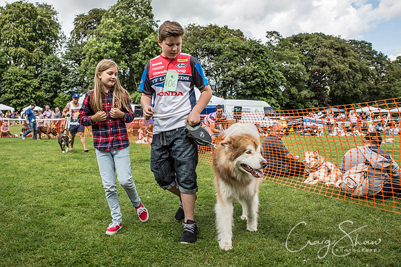 1574_K9Partyinthepark2014_RSPCAHalifax_bluplanetphoto