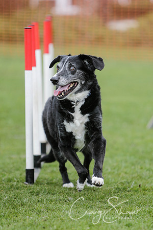 325__SpringersFunDay_March2014_bluplanetphoto