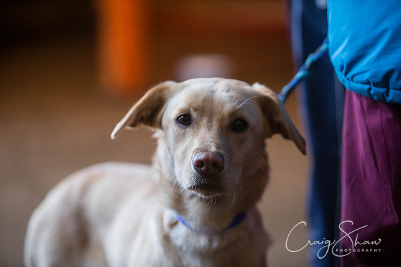 175_springfling2015_bluplanetphoto