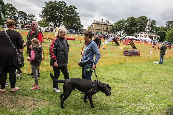 914_BarkintheParkHuddersfield_2014_bluplanetphoto