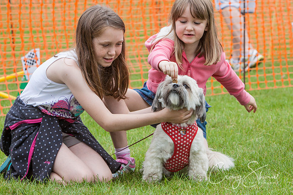 RSPCA Dog Day Afternoon