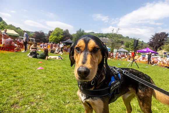 2286_HebdensHappyHounds2024_Cshaw-