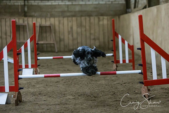 2689_springfling2015_bluplanetphoto