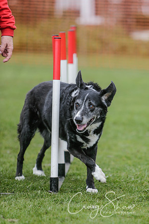 322__SpringersFunDay_March2014_bluplanetphoto