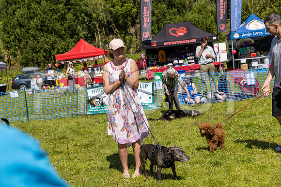2512__PAWSFundogShow_July2022_cshaw