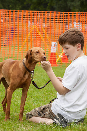 RSPCA Dog Day Afternoon