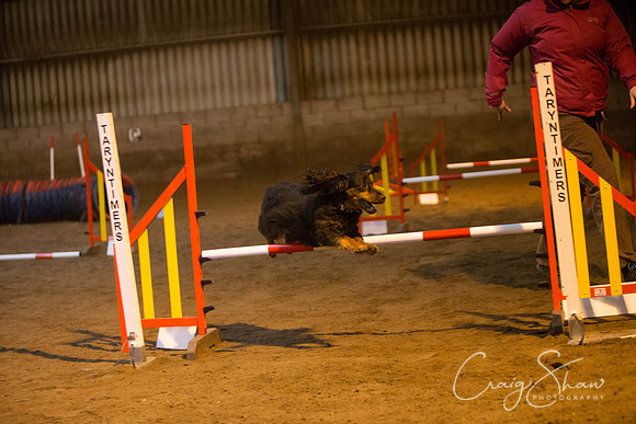 191_springfling2015_bluplanetphoto