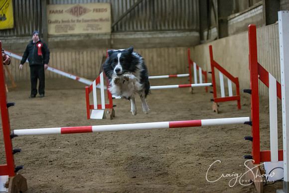 2676_springfling2015_bluplanetphoto