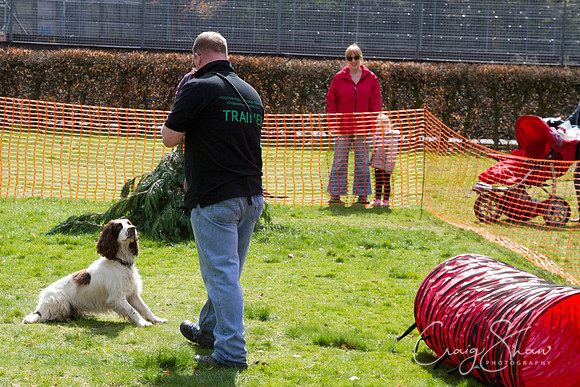 Hebden Happy Hounds RSPCA day