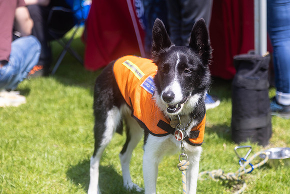 2253_HebdensHappyHounds2024_Cshaw-